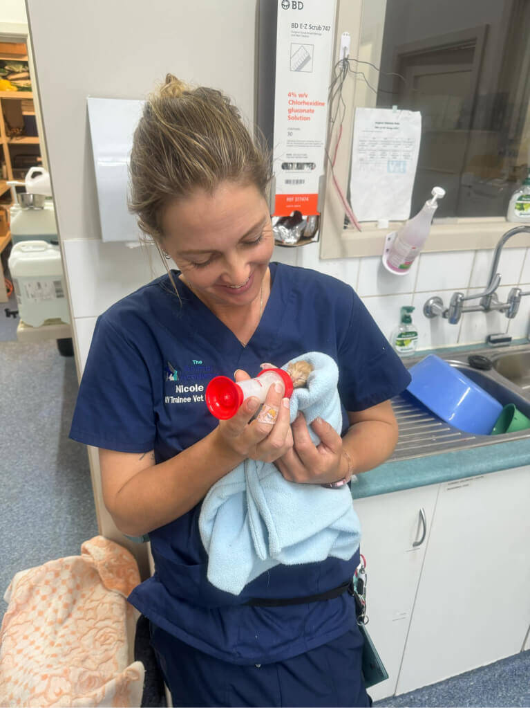 Explore Leading Animal Care Courses Animal Academy explore-leading-animal-care-courses-animal-academy